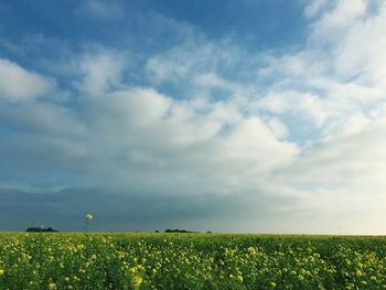 Scenic view of field against cloudy sky