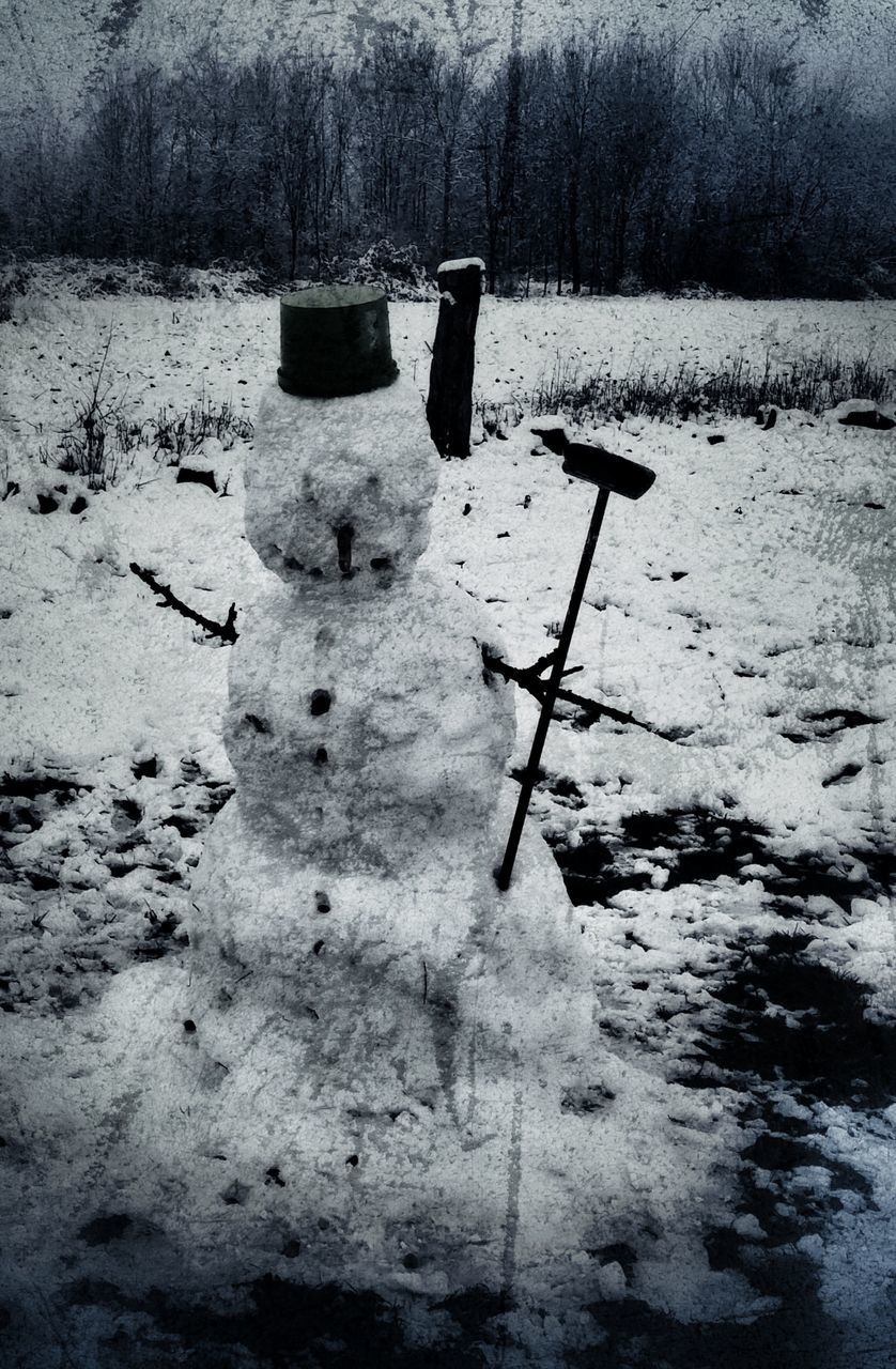 SNOW COVERED FIELD