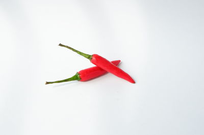 vegetable