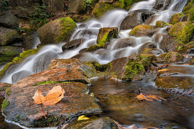 Stream flowing through rocks in forest