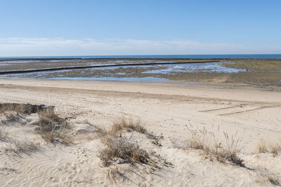 land
