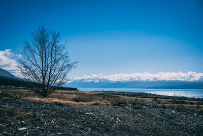 Scenic view of field against blue sky