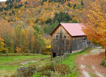 View of house and trees