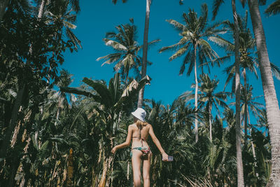 Woman standing by palm trees against blue sky