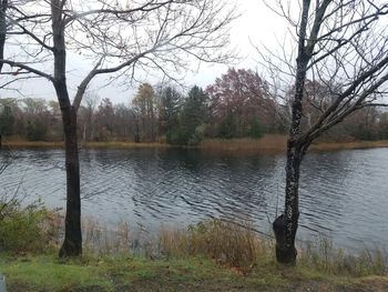 Bare trees by lake against sky