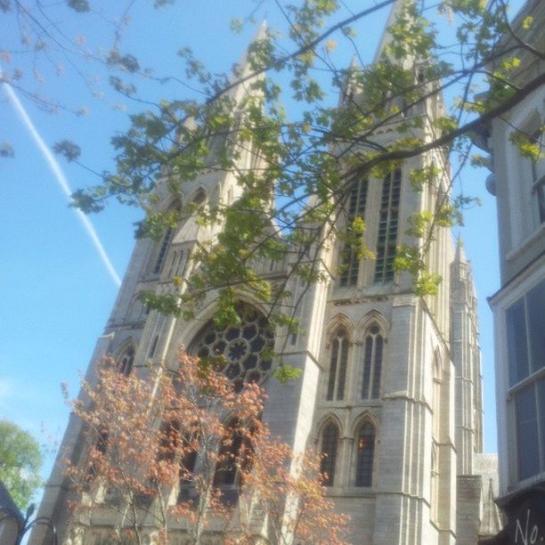 low angle view, architecture, built structure, building exterior, tree, branch, sky, sunlight, blue, building, clear sky, day, religion, window, place of worship, outdoors, city, no people, church