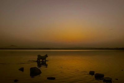Scenic view of lake at sunset