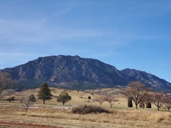 Scenic view of field and mountains against blue sky