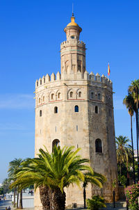 Low angle view of palm tree against sky