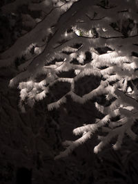 High angle view of snow on bed