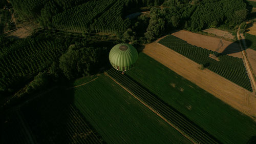 High angle view of agricultural field