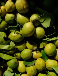 Full frame shot of fruits