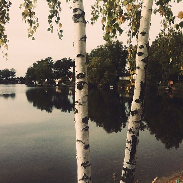 tree, water, reflection, lake, tranquility, waterfront, tree trunk, nature, tranquil scene, river, sky, growth, branch, scenics, beauty in nature, standing water, calm, outdoors, no people, day