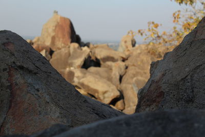 Close-up of rocks against clear sky