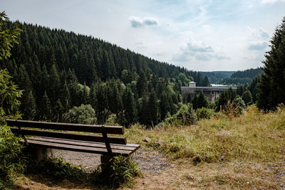 Empty bench in forest against sky