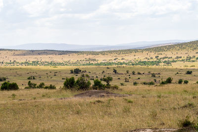 Scenic view of landscape against sky