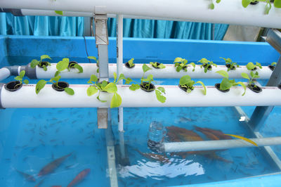 aquarium
