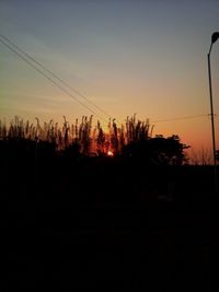 Silhouette trees on landscape at sunset