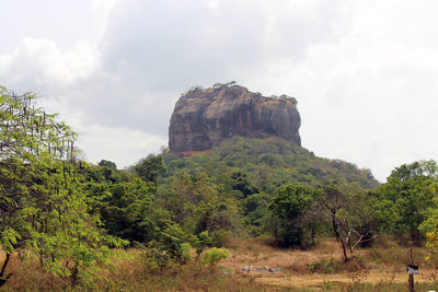 Low angle view of rocks and trees against sky