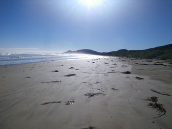 Scenic view of beach against blue sky