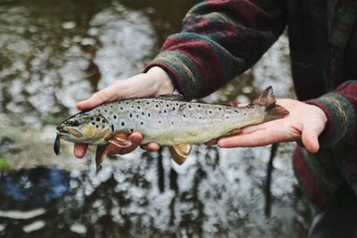 Midsection of person holding fish