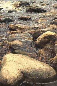 High angle view of pebbles in water