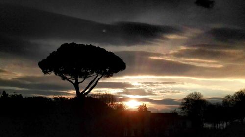 Silhouette trees against sky at sunset