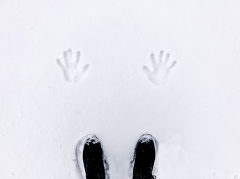 Low section of man standing on snow