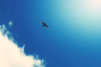 Low angle view of airplane flying in sky