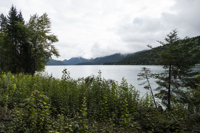 nature