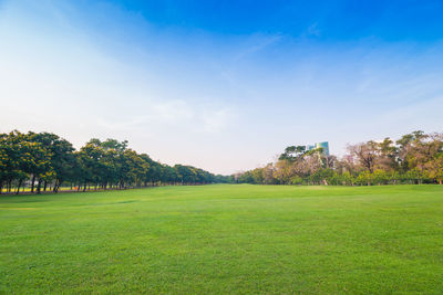 Scenic view of field against sky