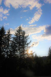Low angle view of silhouette trees against sky
