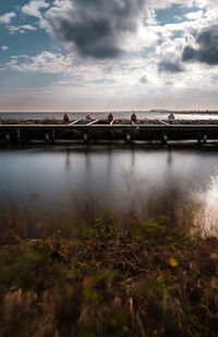 Bridge over river against sky