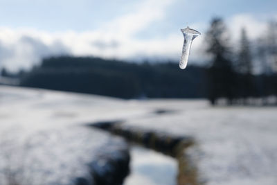 Close-up of ice crystals against sky