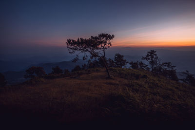 Silhouette trees on field against sky at sunset