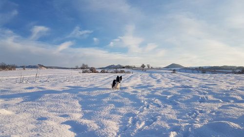 Man on snow covered field against sky