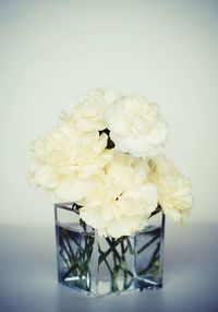 Close-up of white flowers