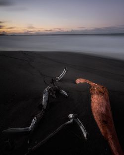 Driftwood on beach against sky during sunset