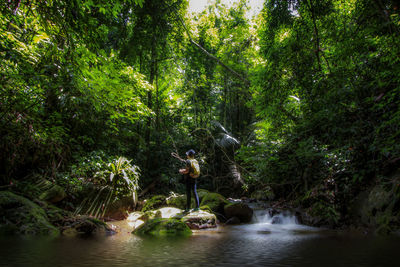 Scenic view of river amidst trees in forest