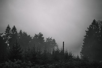 Silhouette trees against sky