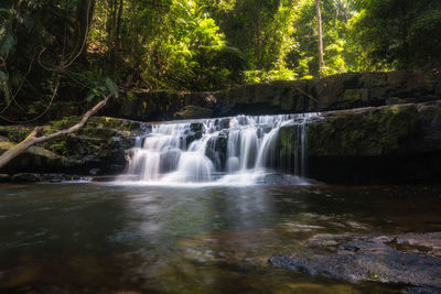 Scenic view of waterfall in forest