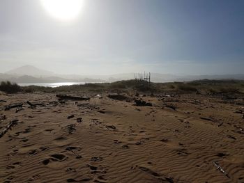 Scenic view of beach against sky