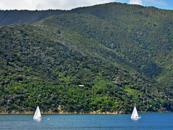 Sailboat sailing on sea against mountains