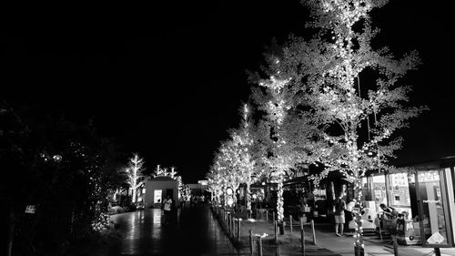 Illuminated street amidst trees against sky at night