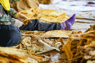 Low section of man with vegetables at market