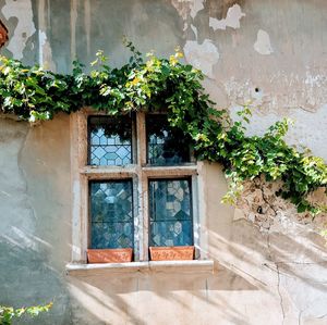 Window of an old house