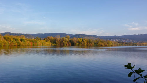 Scenic view of lake by trees against sky