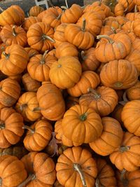 Full frame shot of pumpkins