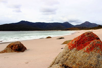 Scenic view of beach against sky