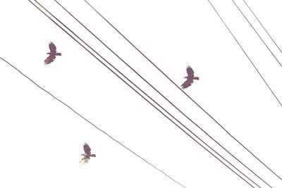 Low angle view of power lines